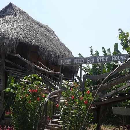 Sunny Field Eco Stilt House Βίλα Cat Tien Εξωτερικό φωτογραφία