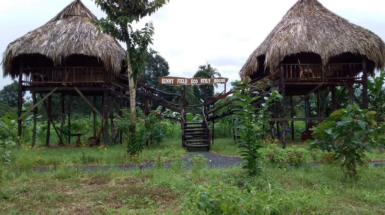 Sunny Field Eco Stilt House Βίλα Cat Tien Εξωτερικό φωτογραφία