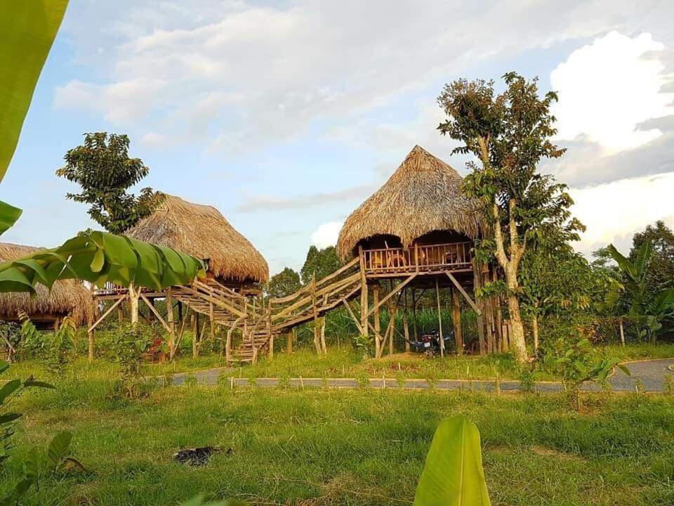 Sunny Field Eco Stilt House Βίλα Cat Tien Εξωτερικό φωτογραφία